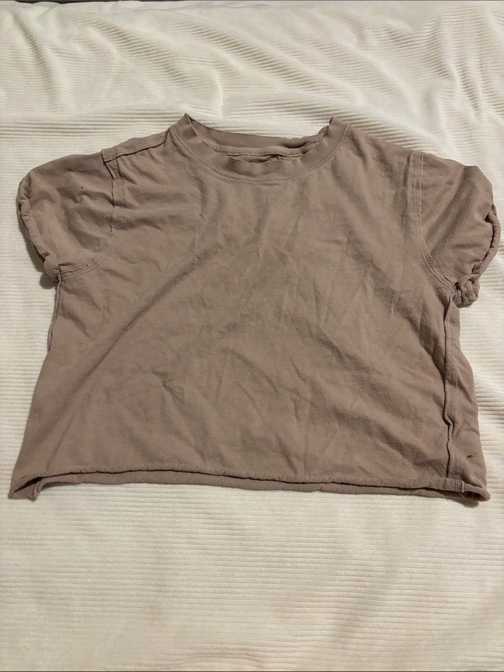 We The Free Boxy Short Sleeve Crop Top - Taupe